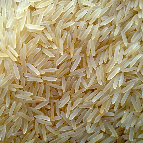 Basmati Rice - 1121