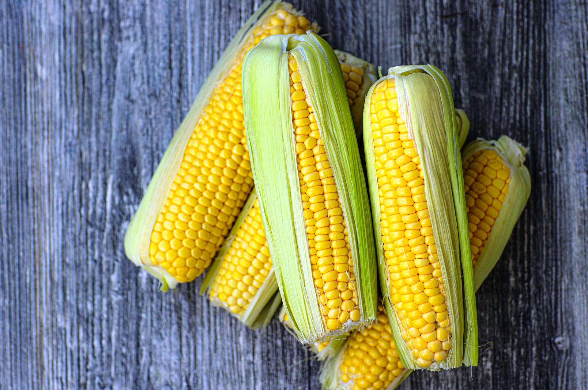 Maize / Corn