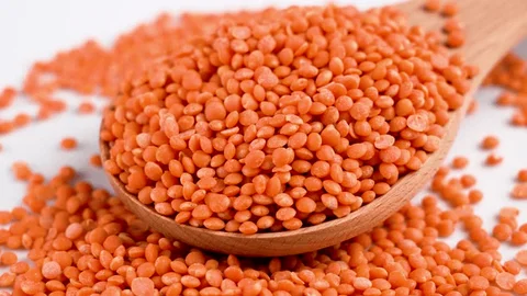 Masoor (Red Lentil)