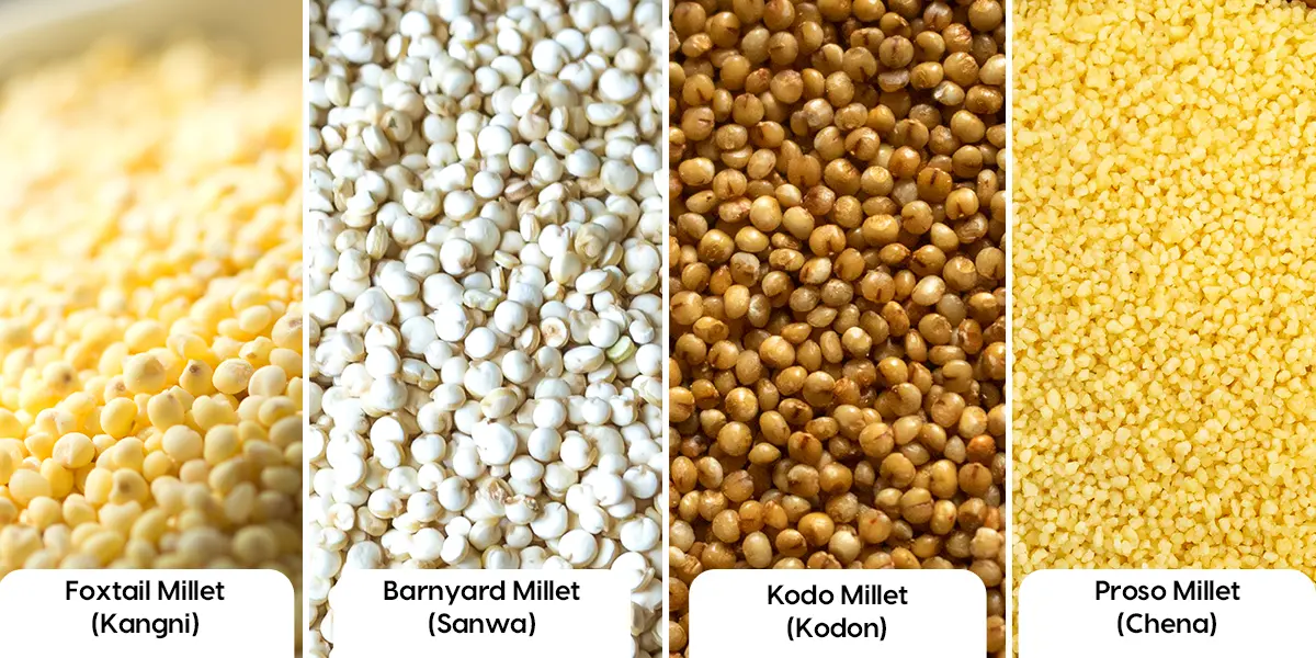 Small Millets (Kodo / Little / Barnyard)