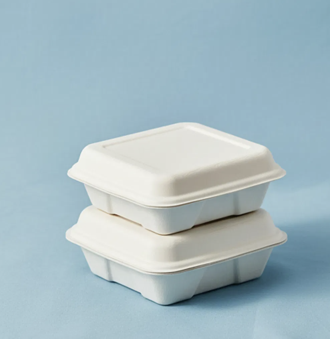 Bagasse Clamshell Boxes (1-Compartment)