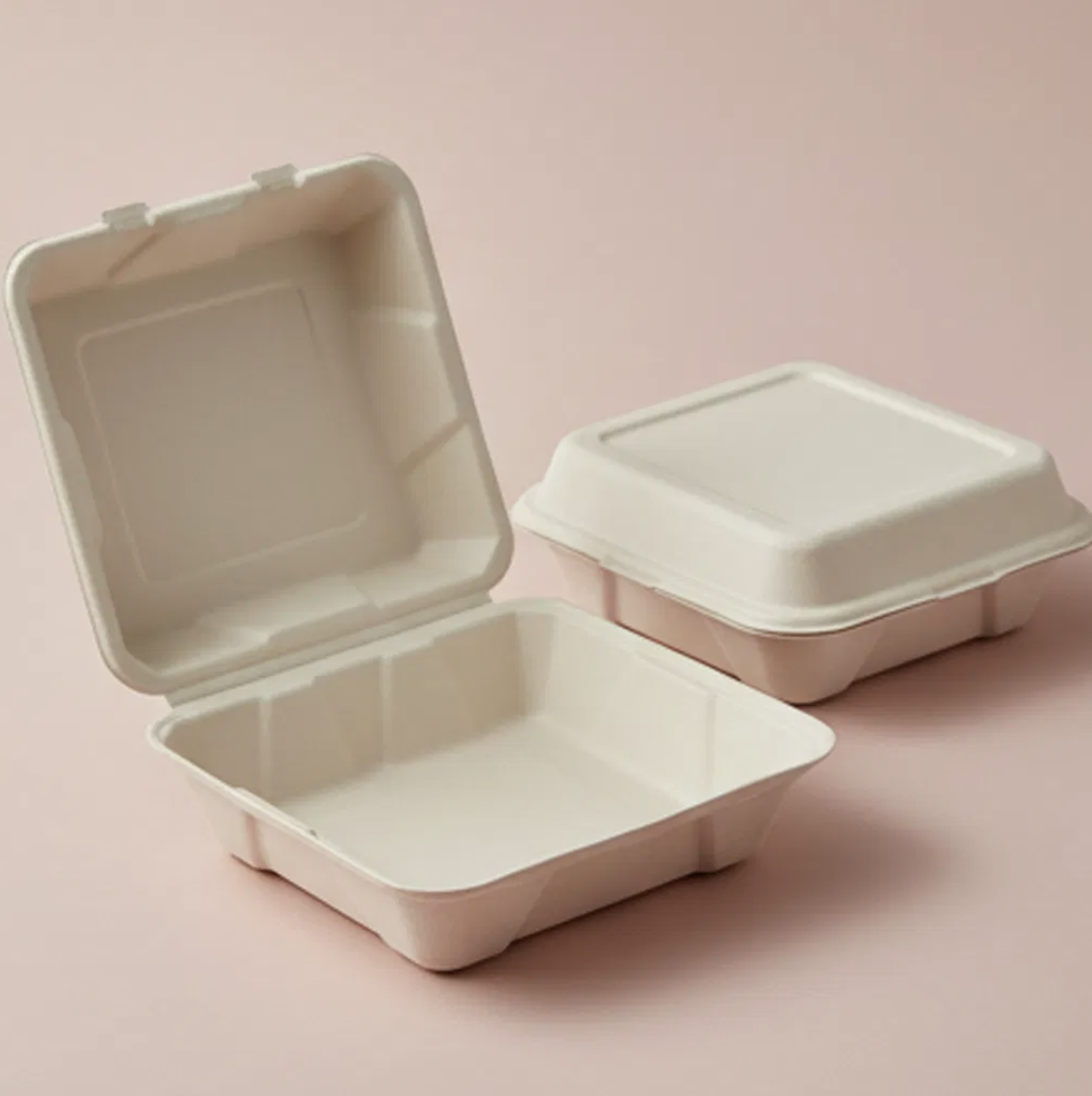 Bagasse Clamshell Boxes (1-Compartment)