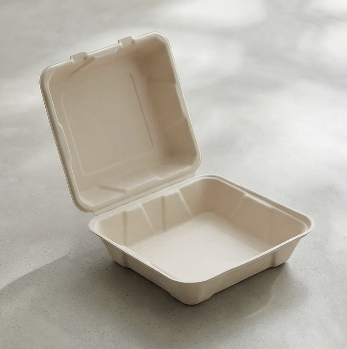 Bagasse Clamshell Boxes (1-Compartment)