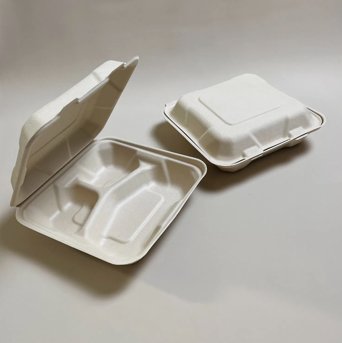Bagasse Meal Boxes (Compartments)