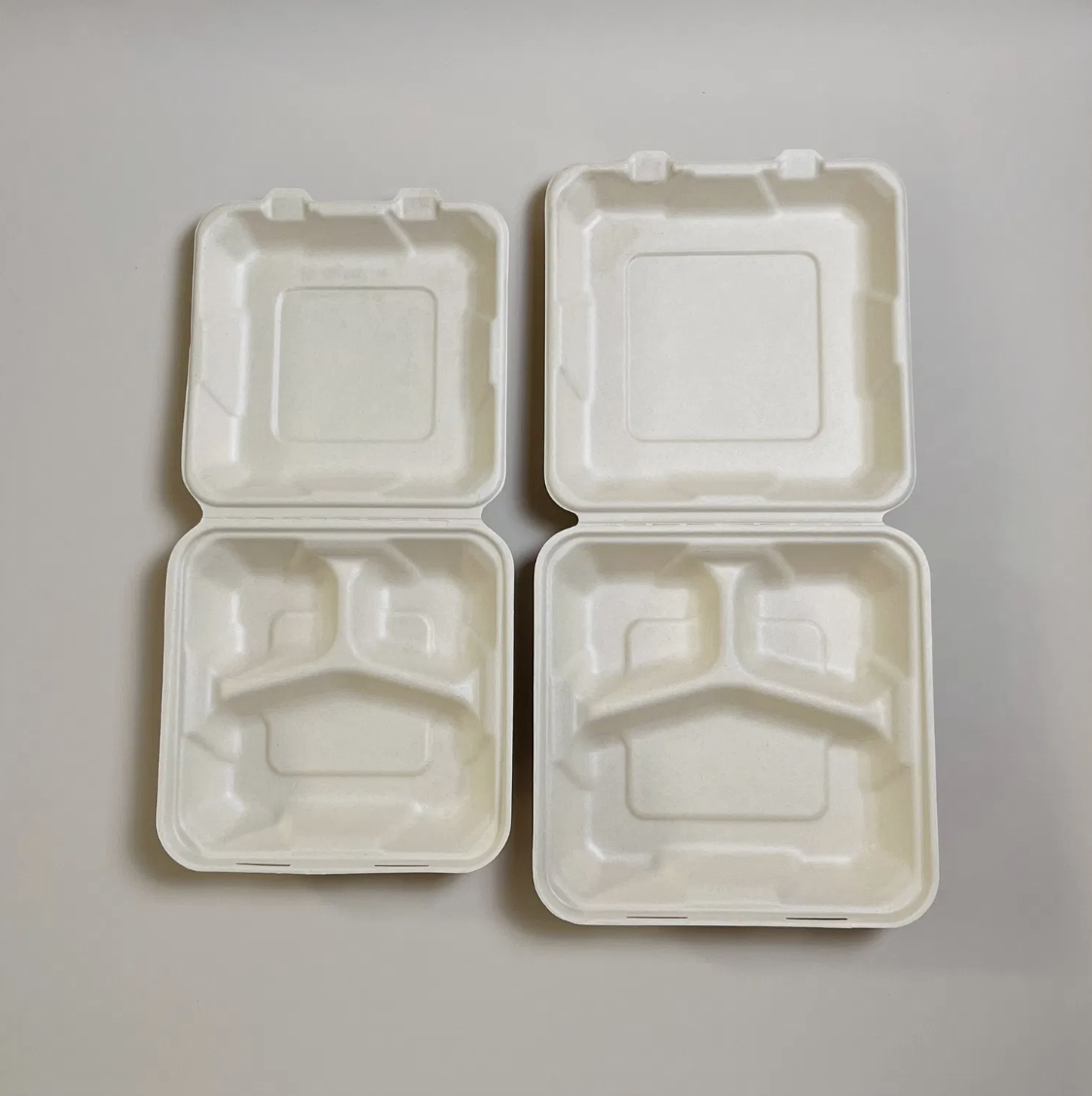 Bagasse Meal Boxes (Compartments)
