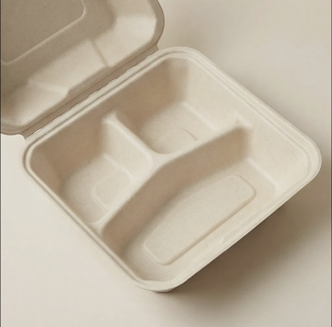 Bagasse Meal Boxes (Compartments)