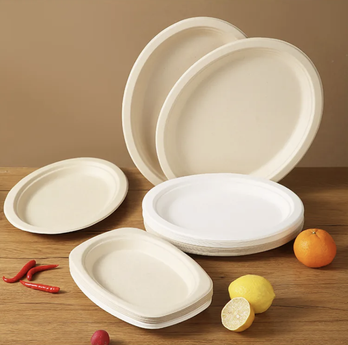 10 inch Bagasse Oval Plate