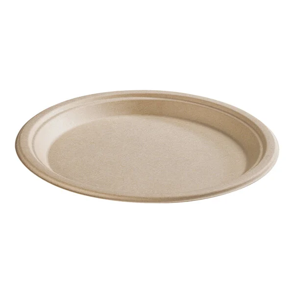 10 inch Bagasse Oval Plate