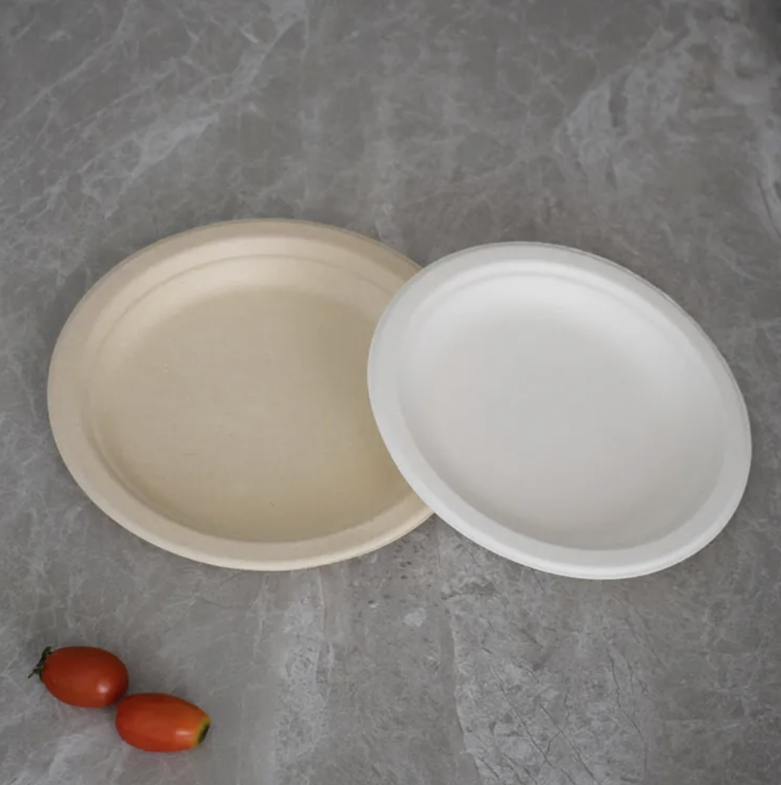 10 inch Bagasse Round Plate