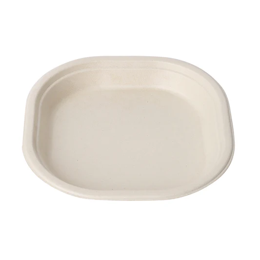 12 inch Bagasse Rectangular Platter