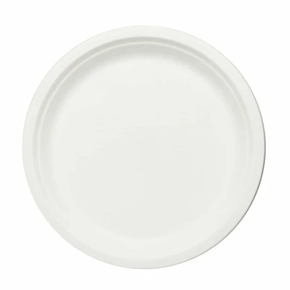 12 inch Bagasse Round Plate