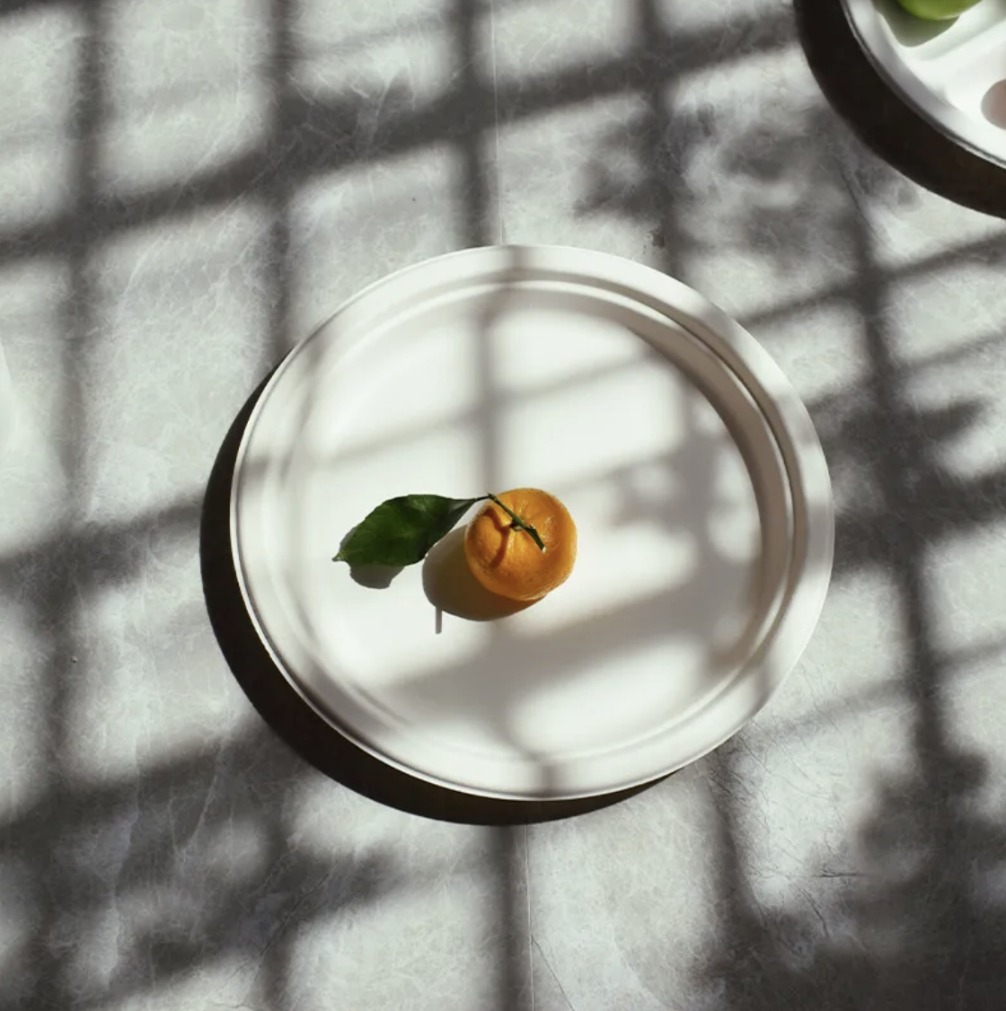 7 inch Bagasse Round Plate