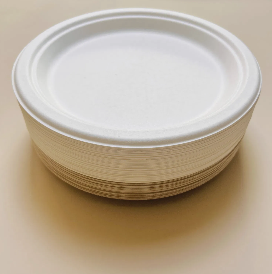 7 inch Bagasse Round Plate