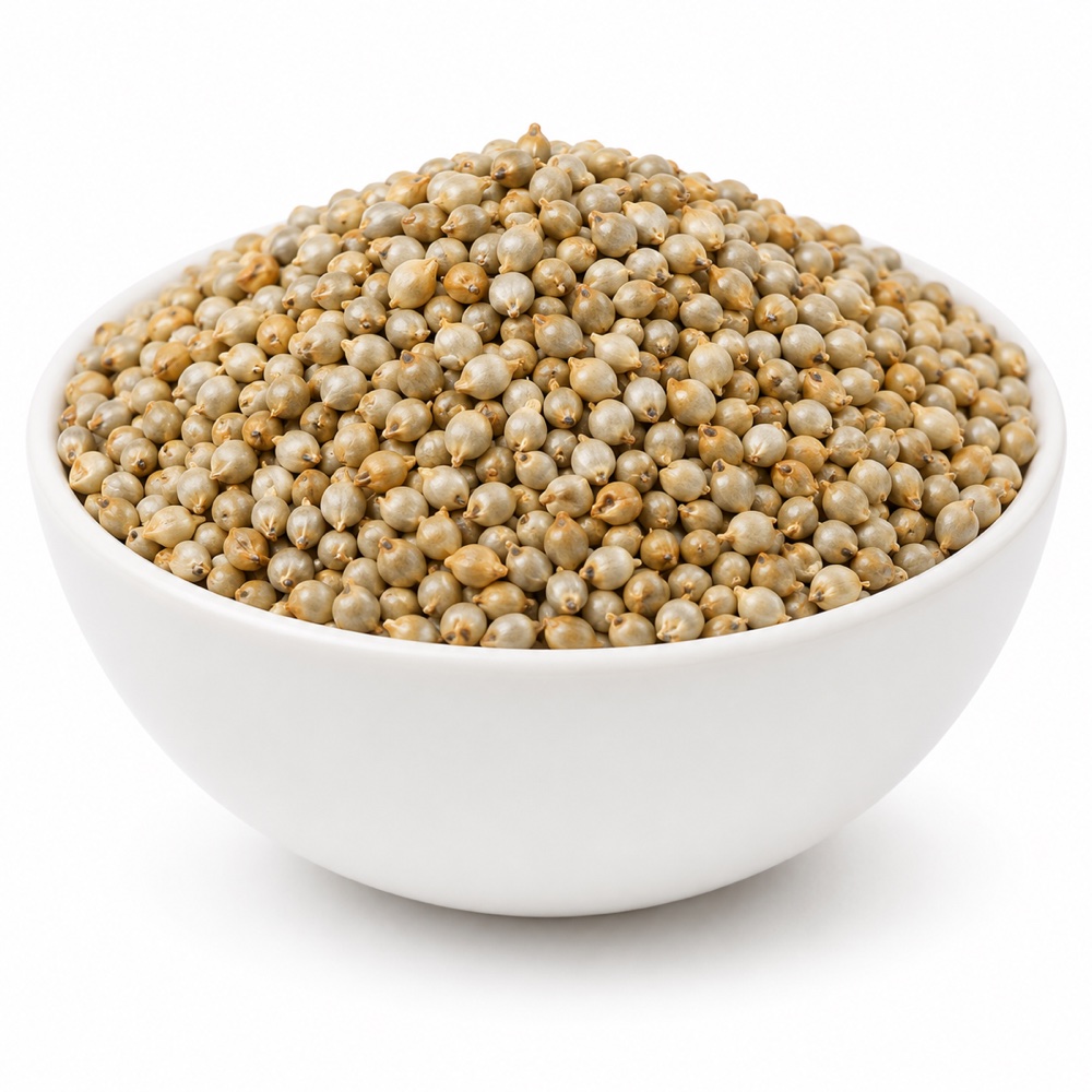 Pearl Millet