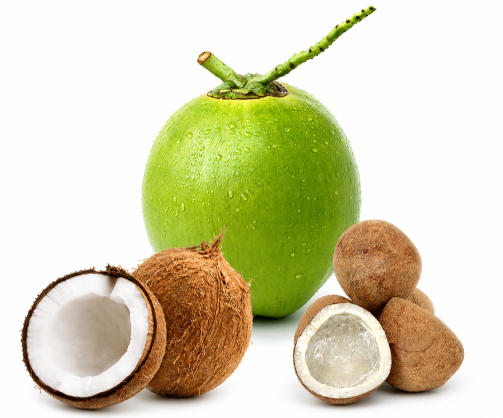Coconut