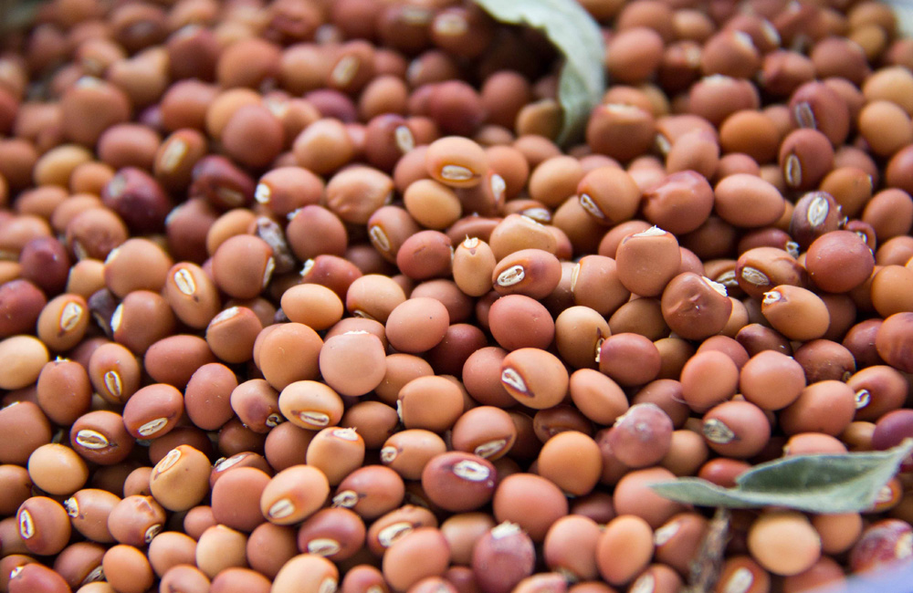 Pigeon Peas (Toor / Arhar)