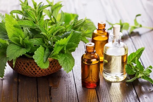 Mint Products (Menthol Crystals / Mint Oils)