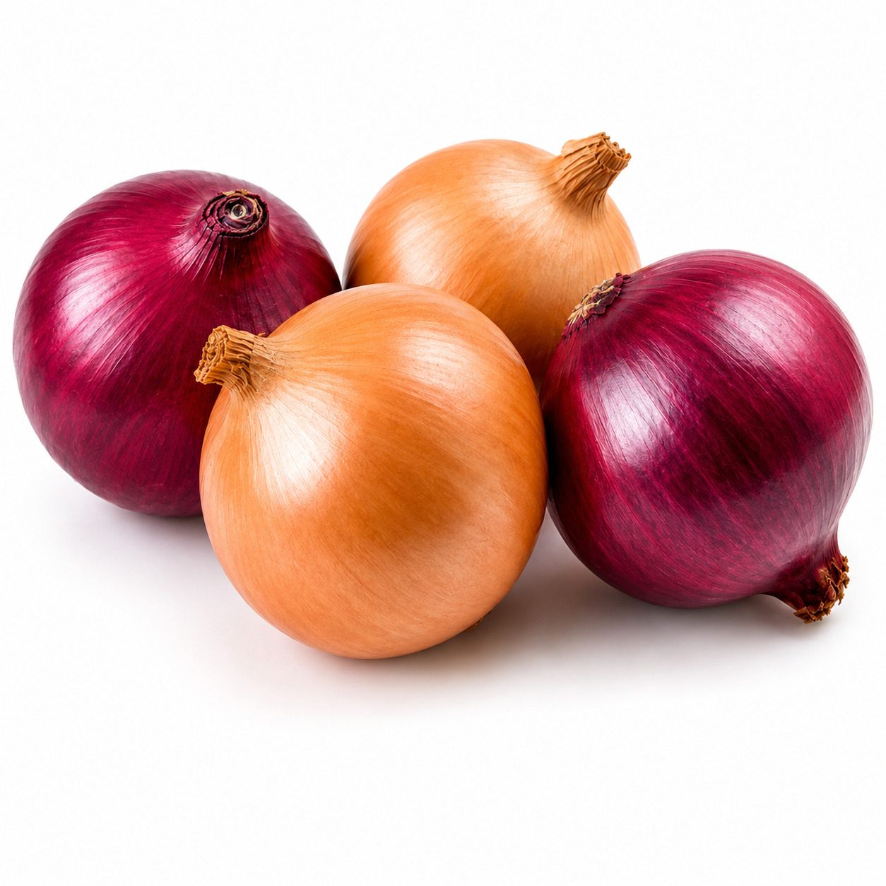 Red & White Onions