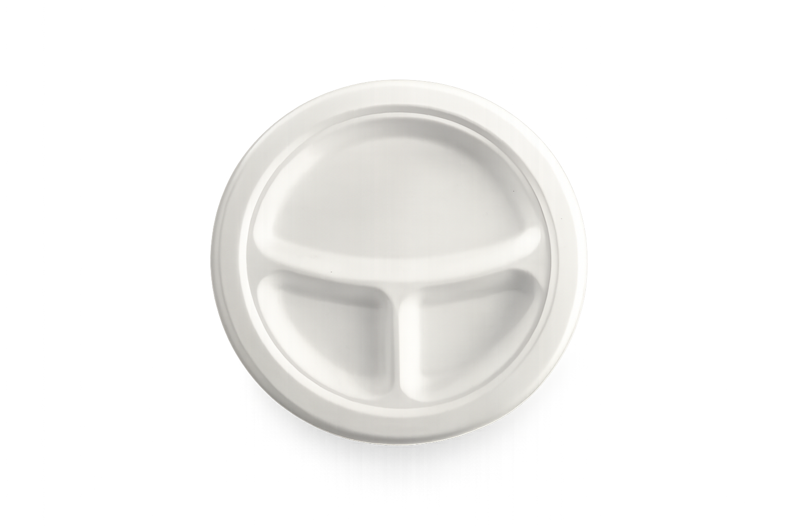 10 inch 3 CP (Compartment Plate)