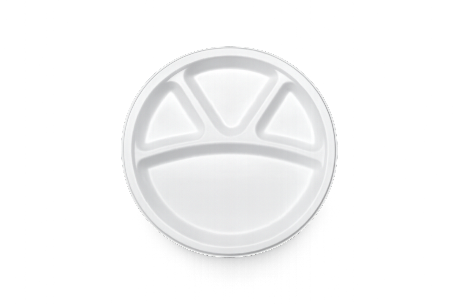 11 inch 4 CP (Compartment Plate)